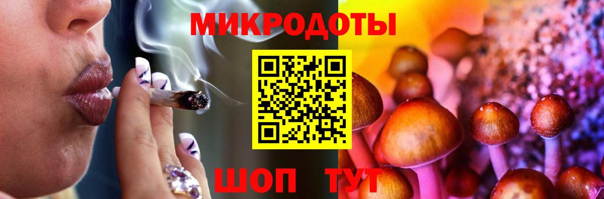 Псилоцибиновые грибы Psilocybe  Вход с VPN  Павлово 